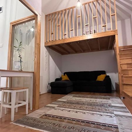 Downtown Apartment Temešvár Exteriér fotografie