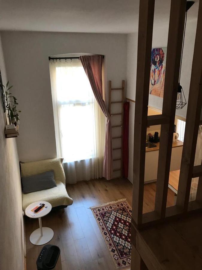 Downtown Apartment Temešvár Exteriér fotografie
