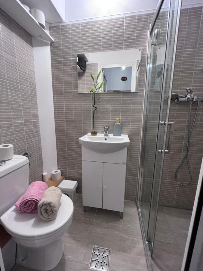Downtown Apartment Temešvár Exteriér fotografie