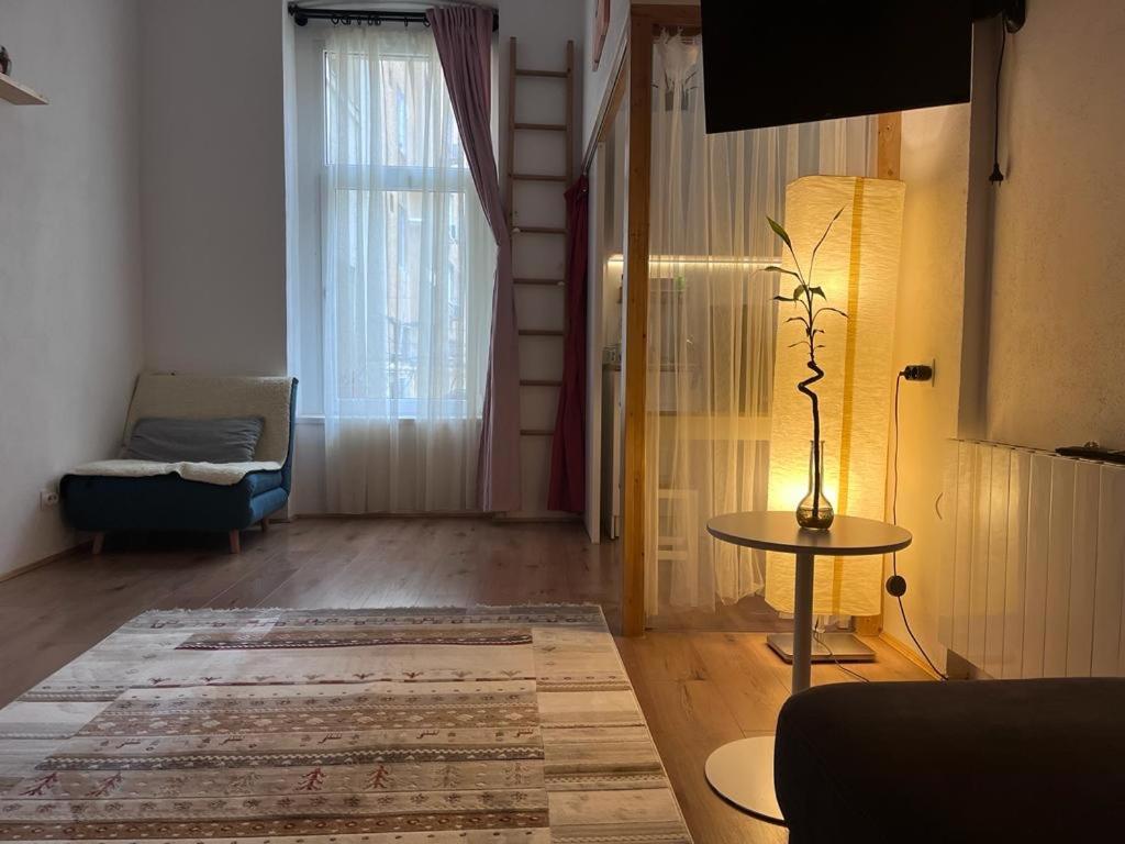 Downtown Apartment Temešvár Exteriér fotografie