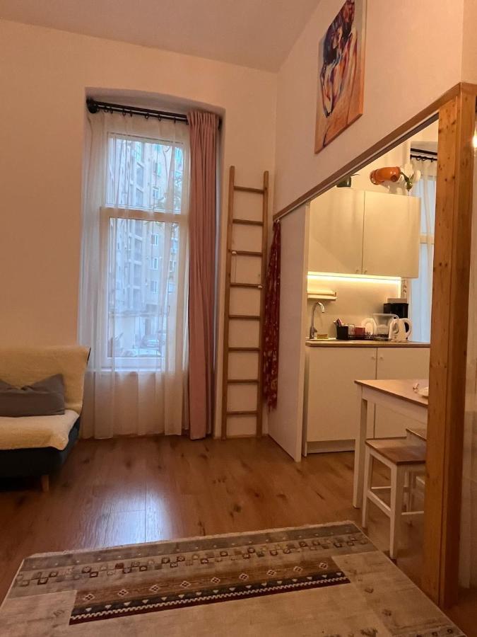 Downtown Apartment Temešvár Exteriér fotografie